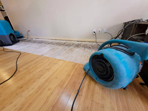 Professional Water Damage Repair technician working in Canal Point, FL